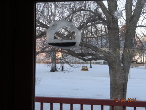 back bird feeders